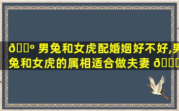 🐺 男兔和女虎配婚姻好不好,男兔和女虎的属相适合做夫妻 🐘 吗